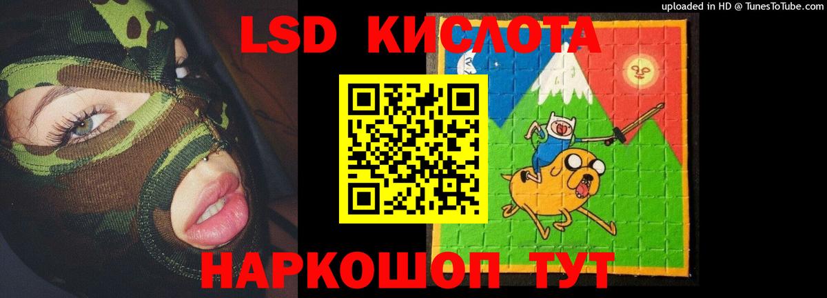Ногинск  ЛСД экстази ecstasy  OMG как войти  Вход с VPN  LSD-25 экстази кислота 