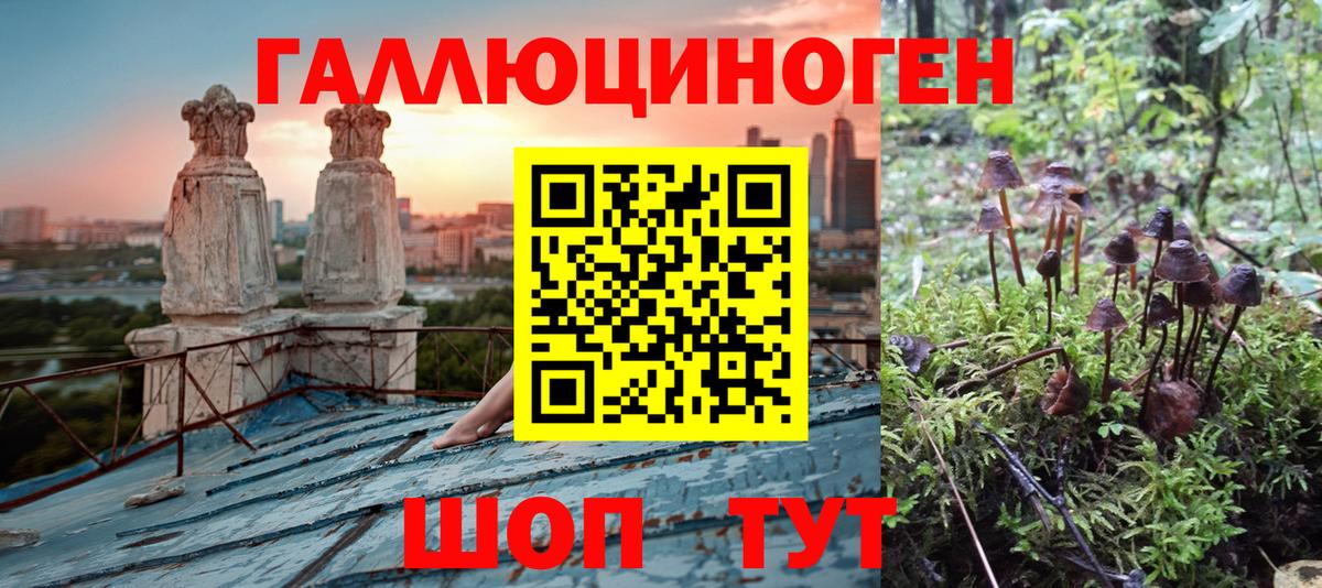 Псилоцибиновые грибы мицелий  Вход с VPN  Ногинск  Псилоцибиновые грибы ЛСД 